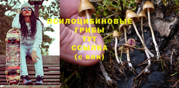метадон Арсеньев